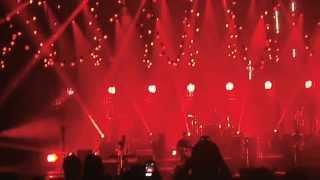Mumford and Sons Dallas 2013 - Thistle and Weeds
