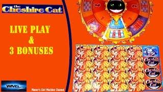 WMS - The Cheshire Cat : Live Play and 3 Bonuses