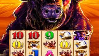 BUFFALO STAMPEDE Video Slot Casino Game with a RETRIGGERED FREE SPIN BONUS