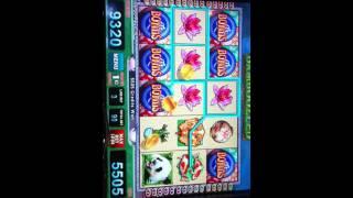 WMS Bamboozled Slot Win at Harrah's Casino - Chester, PA