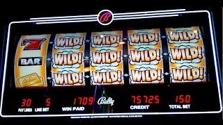 Whizz Bang Jackpots Slot *BIG WIN BONUS* - The Wilds - THE WILDS!
