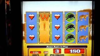 Running Wild Slot Machine Bonus Win (queenslots)