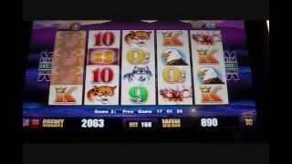 Wonder 4 Double Feature - Buffalo Free Spins Slot Machine Bonus Round