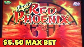 •️$5.50 MAX BET HUGE WIN•️ SUPER RED PHOENIX AWESOME BONUS | MONEY FROG | NEW SLOT ALL IN