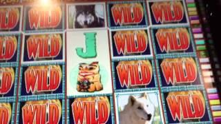 Wolf Run Slot GOING WILD $$$ - Very BIG Win @ Bellagio Casino Las Vegas