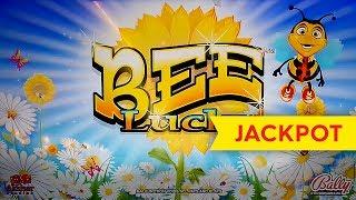 JACKPOT HANDPAY! Bee Lucky Slot - $12.50 Max Bet - AWESOME!