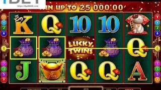 MG LuckyTwins Slot Game •ibet6888.com