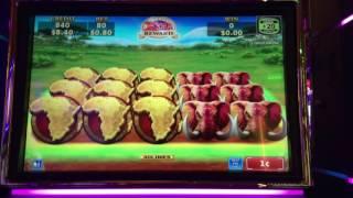 HERD of WINS ~ Slot Machine Live Play and Bonuses