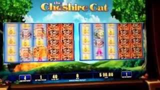 Cheshire Cat Slot Machine Bonus The D Casino Fremont St Las Vegas