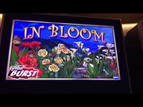 ** New Game ** In Bloom ** Live Play ** SLOT LOVER **