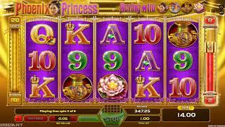 Phoenix Princess casino slots - 29 win!