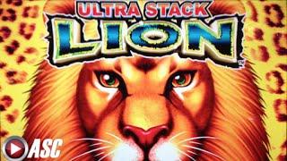 ULTRA STACK LION | Aruze - Full Screen Lions! Slot Machine Bonus