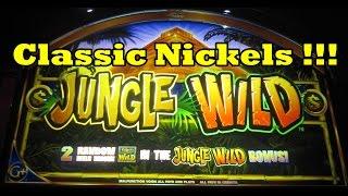 WMS - Jungle Wild!  Big Nickel Win!