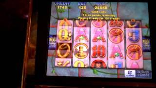 Ruby Magic  slot machine 5 ring bonus at Parx Casino