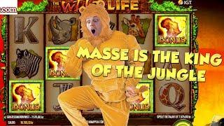 BIG WIN!!!! Wild Life - Casino Games - Bonus Compilation (Casino Slots)