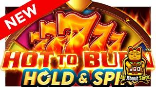 Hot to Burn Hold and Spin Slot - Reel Kingdom - Online Slots & Big Wins