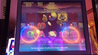 Tiger Lily - Line Hit - Big Win! - $2.50 Bet. Thanks for watching!...