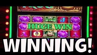 DEAR LORD THIS MACHINE HAS POTENTIAL! - WINNING on Money Frog (Everi) • mcglaven555