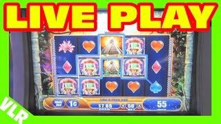Jungle Wild 3 - Slot Machine LIVE PLAY - Freeplay Friday Episode 53