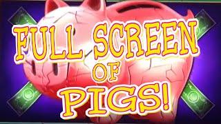 FULL SCREEN OF PIGS!!!
