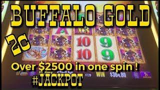 Over $2500 in ONE spin •️ BUFFALO • GOLD •️
