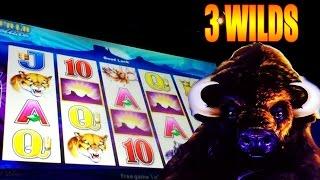 Buffalo Legends Slot Machine Bonus Win ~ 3 Wilds