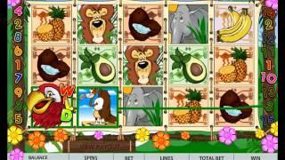 Crazy Jungle slot game