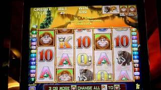 Bone-Bonus Slot Machine Bonus Win (queenslots)
