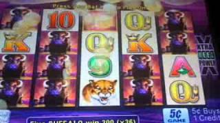 Buffalo slot machine line hit