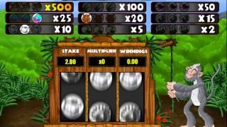 Mazooma Rumble In The Jungle Video Slot Monkey Bonus