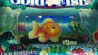 Goldfish 2 Slot HUGE WIN- WMS