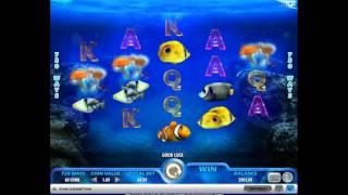Pacific Paradise• - Onlinecasinos.Best