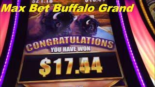 Buffalo Grand Free Game Bonus