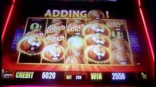 NICE WIN!!!... Sunset King Slot Machine. SUPER FEATURE BONUS