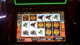IGT new Big Buck Hunter slot machine bonus win at Parx