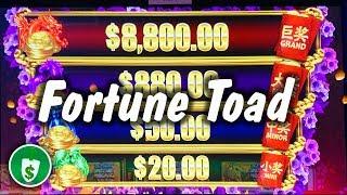 Fortune Toad WA VLT slot machine, bonus