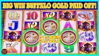 FINALLY BUFFALO GOLD PAID OFF! BIG WIN $12 MAX BET
