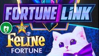 •️ New - Fortune Link Feline Fortune slot machine, bonus