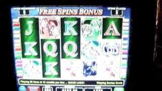 Pala Casino Big Wins!