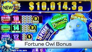 New⋆ Slots ⋆️Fortune Owl Slot Machine Bonus