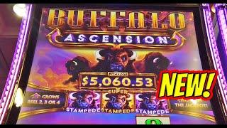 Lets check out the new Buffalo Ascension Slot! max bet live play
