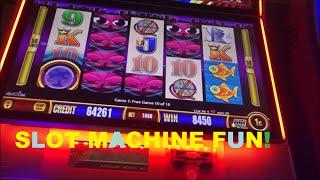 Ms. Kitty Slot Machine Bonus Fun