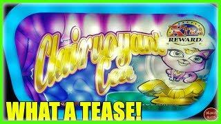 WHAT A TEASE! CLAIRVOYANT CAT MAX BET CHESHIRE CAT SLOT MACHINE $10 BET