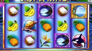BLUE MOON Video Slot Casino Game with a 