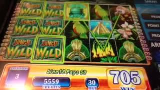 Jungle Wild slot machine bonus win