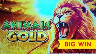 Animals' Gold Slot - WOW, WHAT A QUICK HIT!