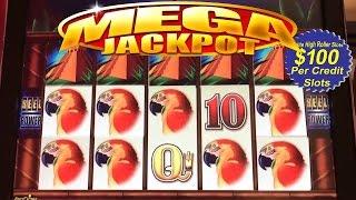 • $232,028 Bucks High Stakes Vegas Casino Video Slots Jackpot Handpay Jungle Joe • SiX Slot - Machin