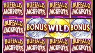 Winning on A Different Kind of BUFFALO Slot Machine! BIG WIN BONUS!