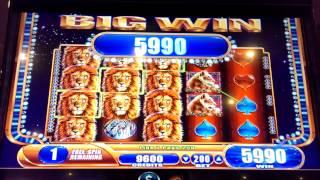 King Of Africa Slot Machine,Free Spin.