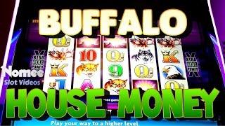 Buffalo Slot Machine - Big Bonus Win - House Money!